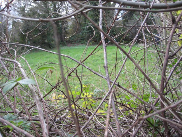 Tegfan's secret garden