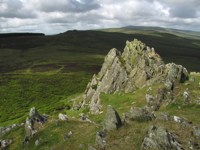 South West View from Foel Drygarn