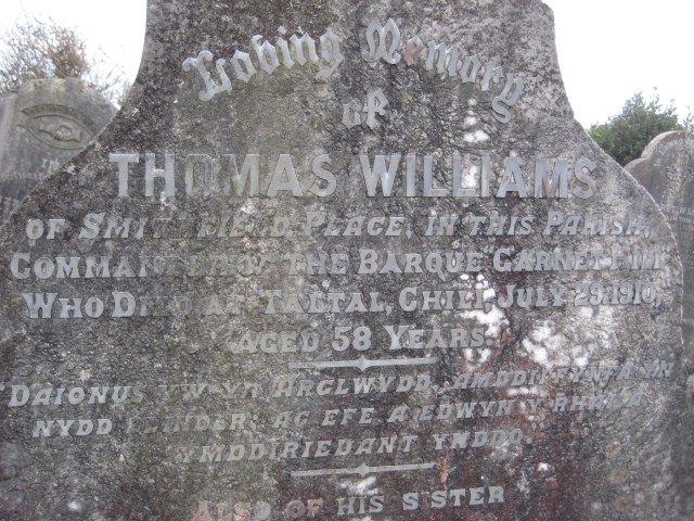 In memory of Thomas Williams, commander of the Barque Garnet Hill