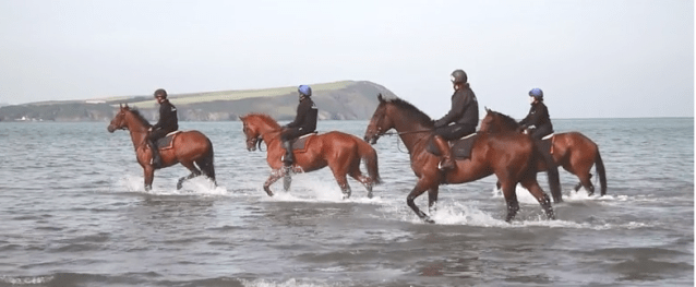 Riding from Rebecca Curtis' stables