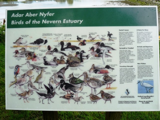 Birds of the Nevern Estuary