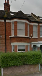 Our privet hedge from Fishguard