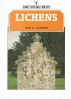 Lichens by Jack Laundon