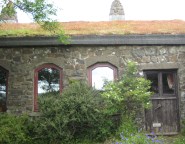 A pioneering green roof. It must have ben one of the first in the UK.