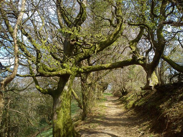 Pontfaen , Gwaun Valley