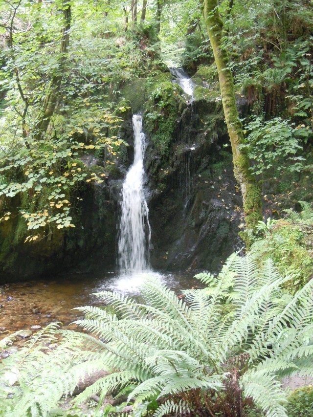 Aberfforest Falls